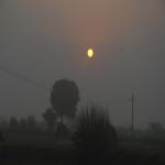 Vraj-Yatra-2014- (1549)